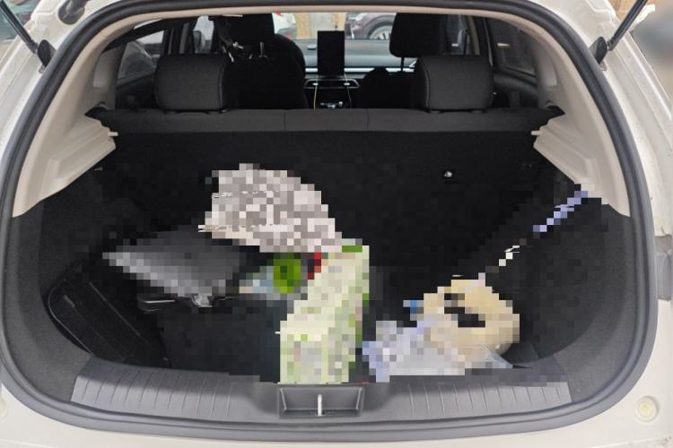 Used BYD e2 2021 Comfort Model Trunk