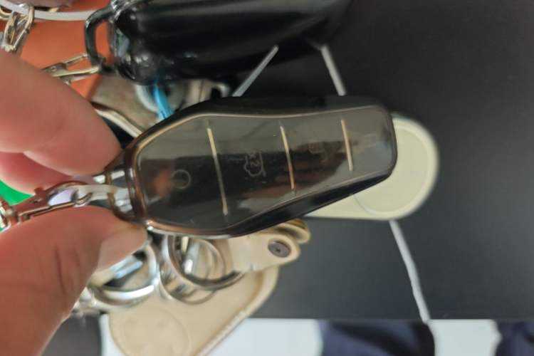 Used BYD e2 2021 Luxury Model Vehicle Key
