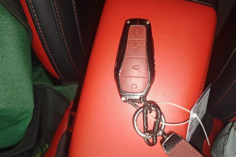 Used BYD e2 2021 Deluxe Model Vehicle Key