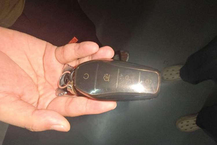 Used BYD e2 2021 Luxury Model Vehicle Key