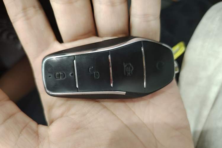 Used BYD e2 2021 Standard Model Vehicle Key