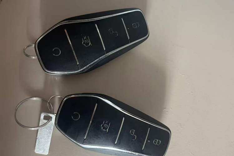 Used BYD e2 2021 Deluxe Model Vehicle Key