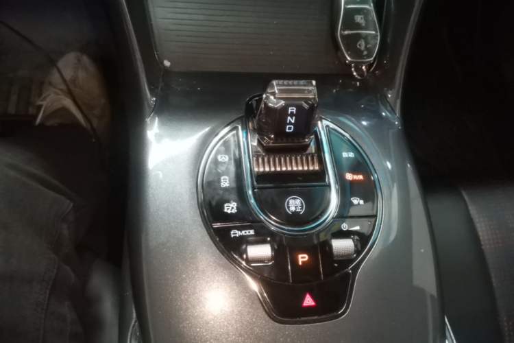 Used BYD e2 2023 Luxury Model Gear Lever