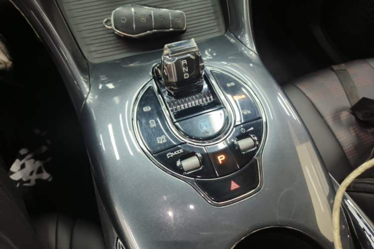 Used BYD e2 2023 Luxury Model Gear Lever