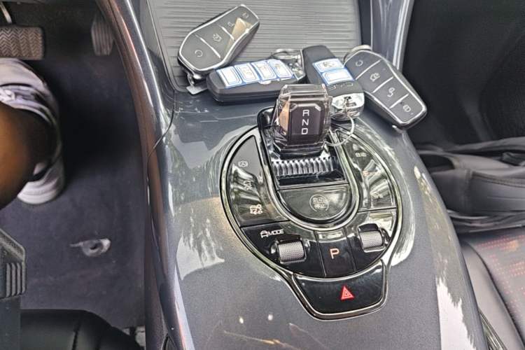 Used BYD e2 2023 Luxury Model Gear Lever