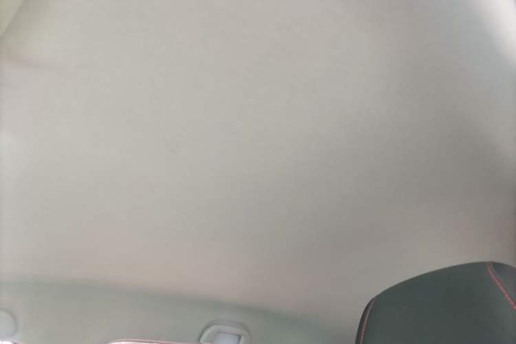 Used BYD e2 2023 Comfort Model Headliner