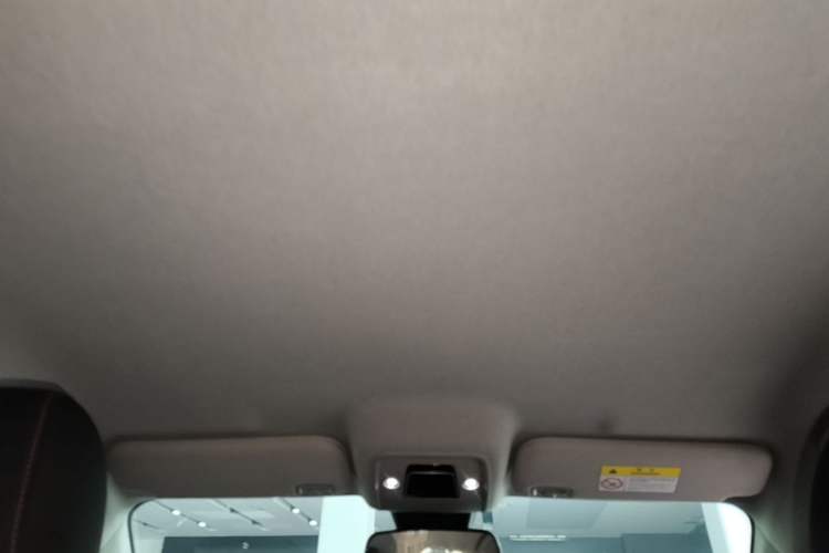 Used BYD e2 2023 Luxury Model Headliner