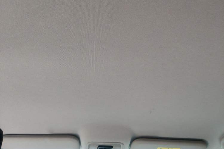 Used BYD e2 2023 Comfort Model Headliner