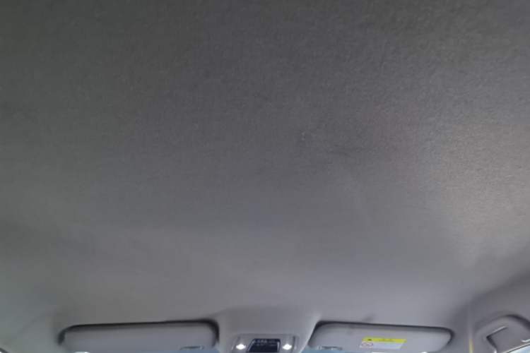 Used BYD e2 2023 Travel Edition Headliner