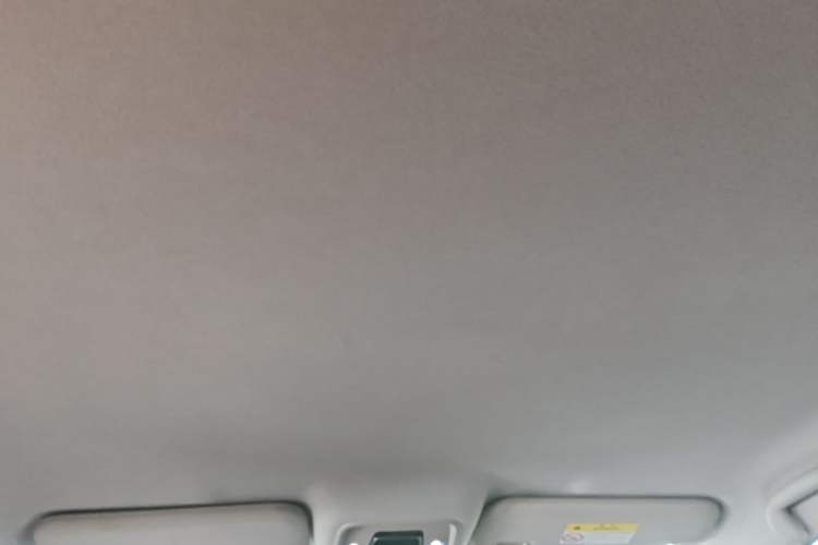Used BYD e2 2023 Luxury Model Headliner