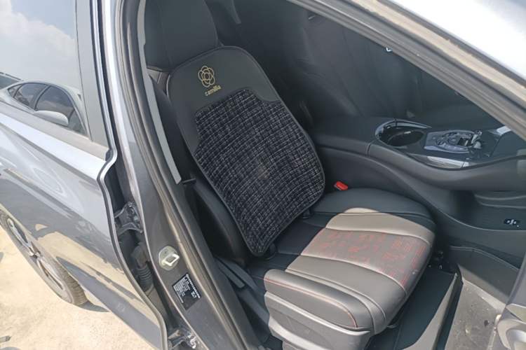 Used BYD e2 2023 Luxury Model Right Front Seat