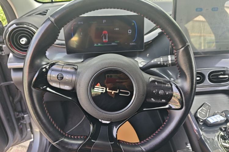 Used BYD e2 2023 Luxury Model Steering Wheel