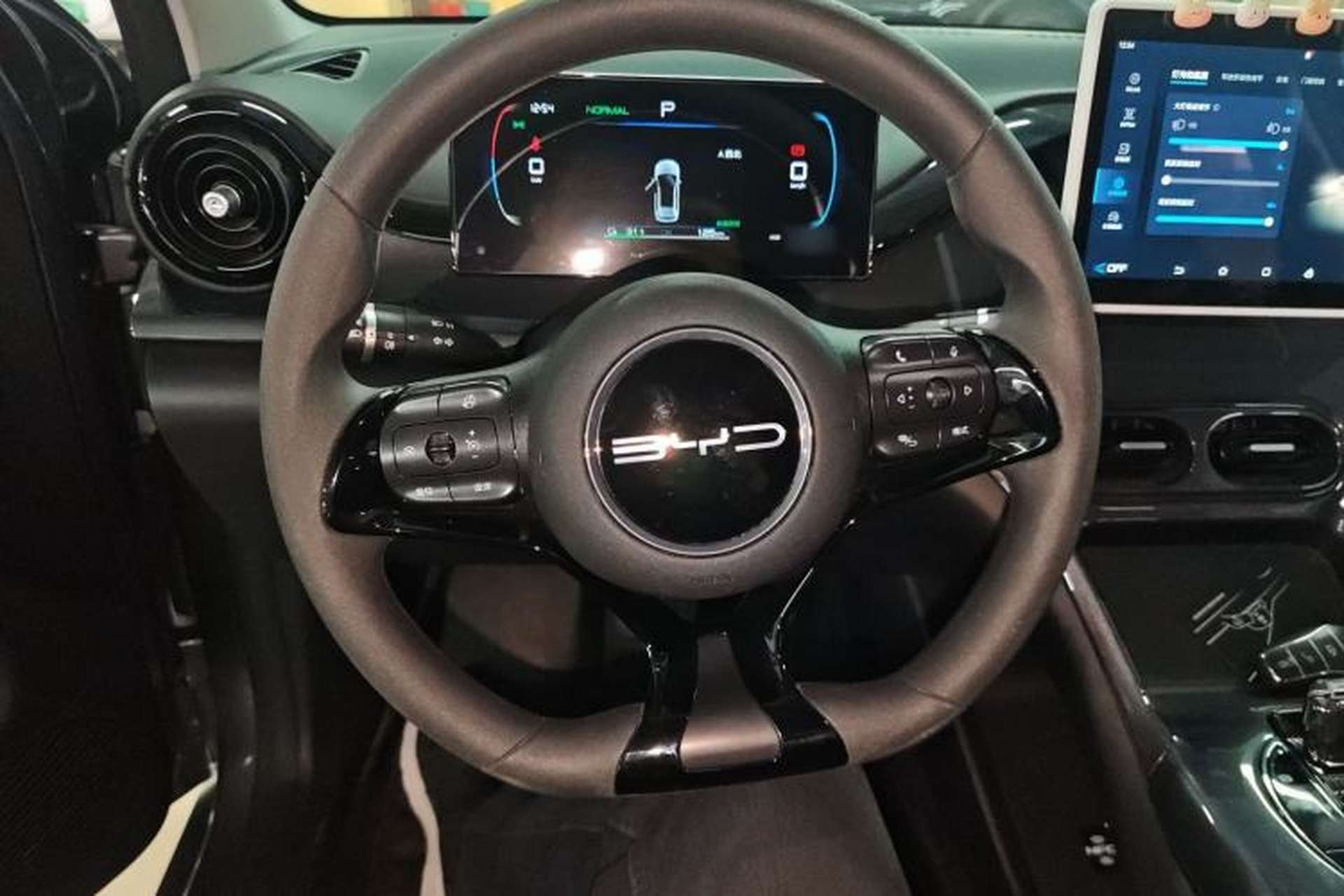 Used BYD e2 2023 Comfort Model Steering Wheel