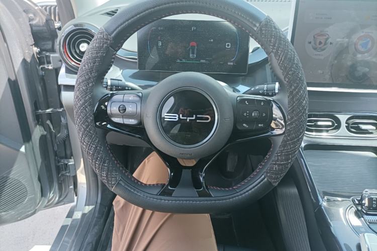 Used BYD e2 2023 Luxury Model Steering Wheel