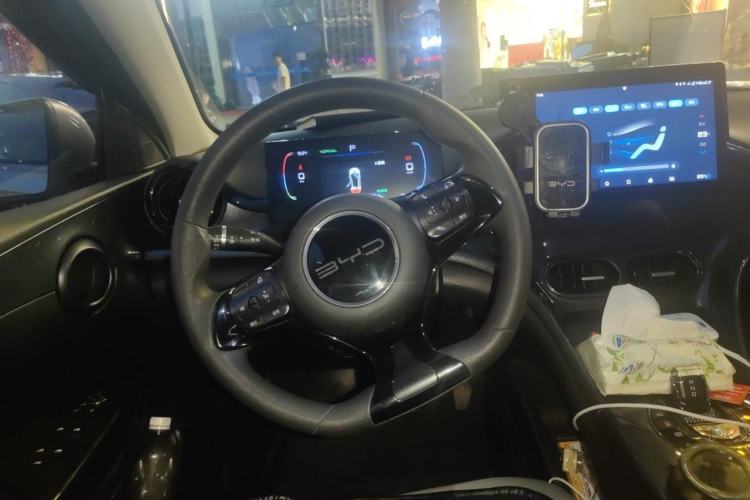 Used BYD e2 2023 Comfort Model Steering Wheel