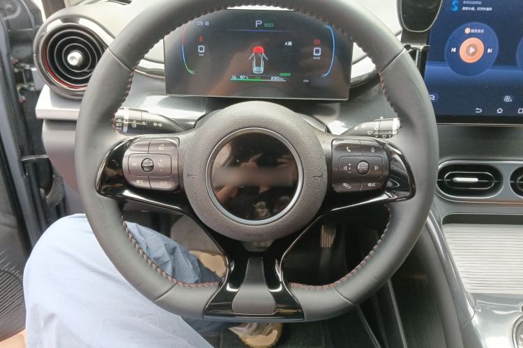 Used BYD e2 2023 Luxury Model Steering Wheel