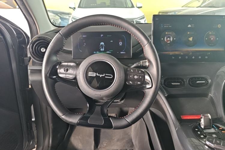 Used BYD e2 2023 Luxury Model Steering Wheel
