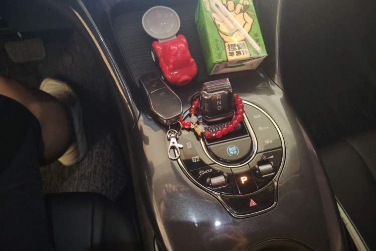 Used BYD e2 2023 Luxury Model Gear Lever