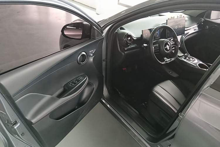 Used BYD e2 2023 Luxury Model Driver Seat