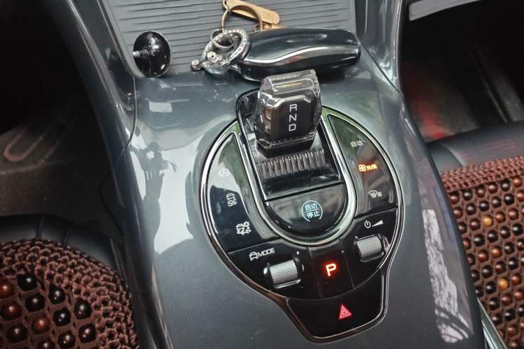 Used BYD e2 2023 Luxury Model Gear Lever