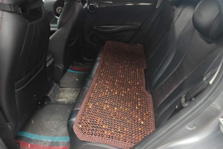 Used BYD e2 2023 Luxury Model Left Rear Seat