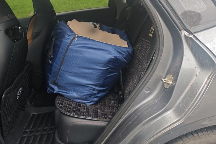 Used BYD e2 2023 Luxury Model Left Rear Seat