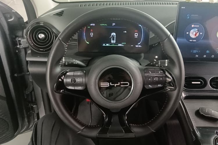 Used BYD e2 2023 Luxury Model Steering Wheel