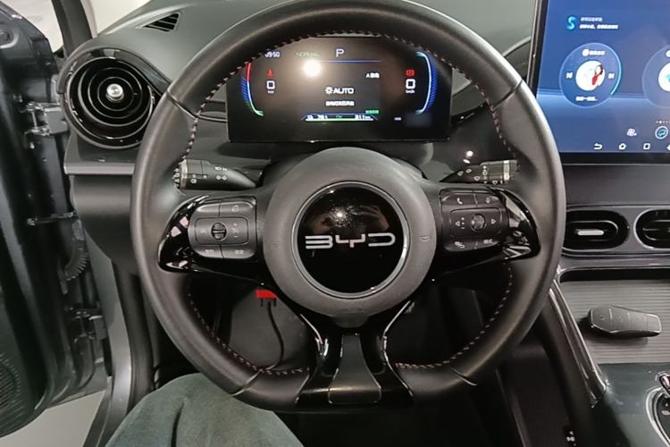 Used BYD e2 2023 Luxury Model Steering Wheel