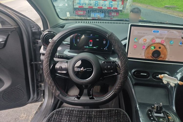 Used BYD e2 2023 Luxury Model Steering Wheel