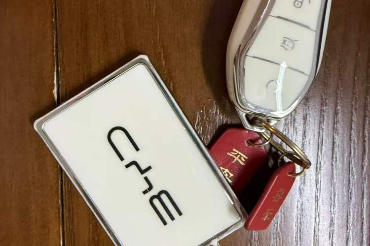 Used BYD e2 2023 Luxury Model Vehicle Key