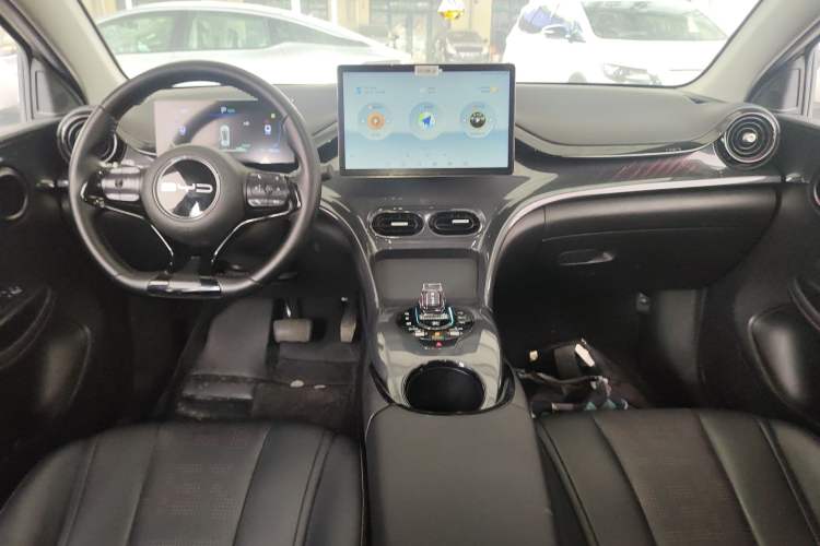 Used BYD e2 2023 Luxury Model Center Console