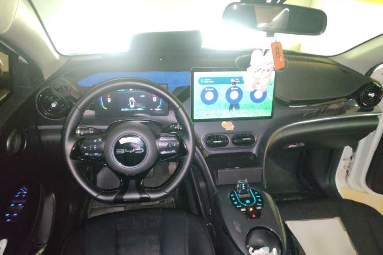 Used BYD e2 2023 Luxury Model Center Console