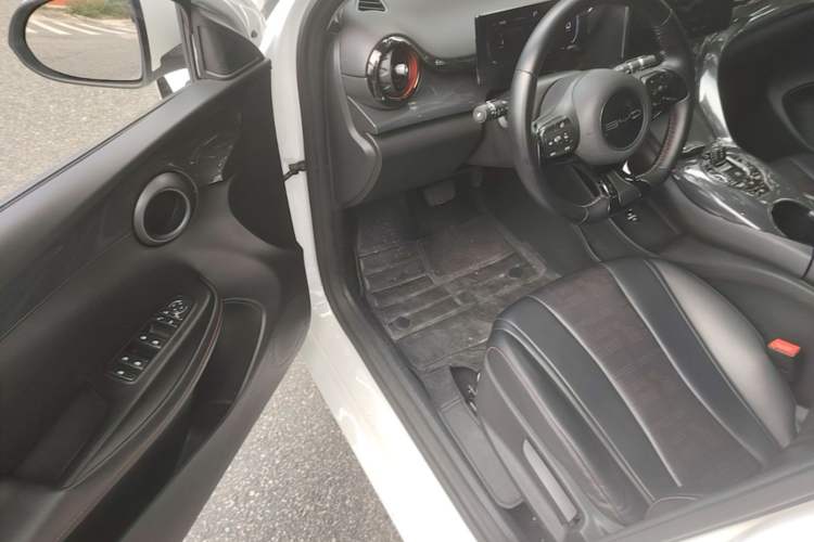 Used BYD e2 2023 Luxury Model Driver Seat