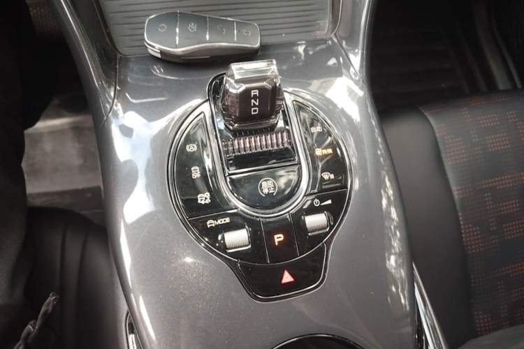 Used BYD e2 2023 Luxury Model Gear Lever