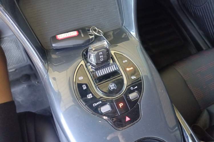 Used BYD e2 2023 Luxury Model Gear Lever