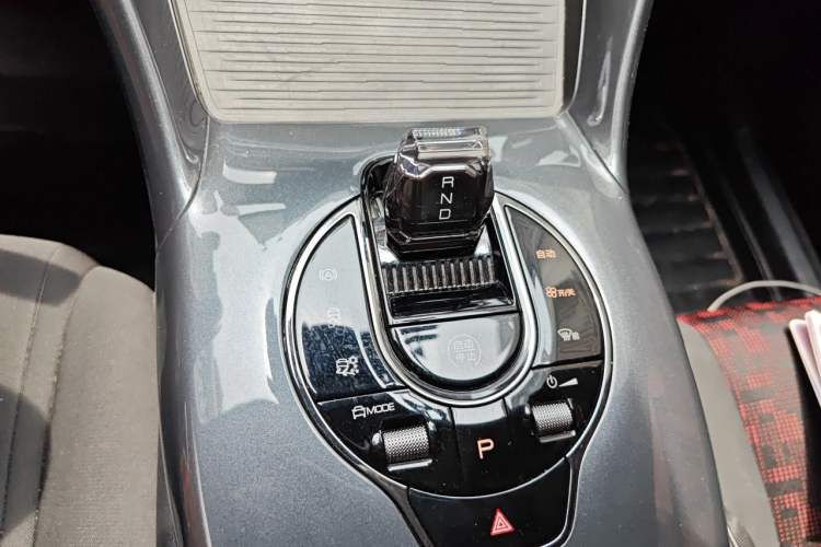 Used BYD e2 2023 Comfort Model Gear Lever