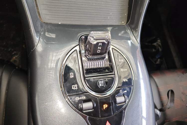 Used BYD e2 2023 Luxury Model Gear Lever