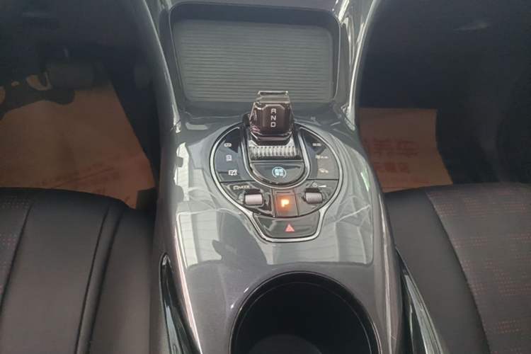 Used BYD e2 2023 Luxury Model Gear Lever