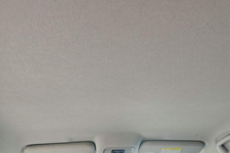 Used BYD e2 2023 Luxury Model Headliner