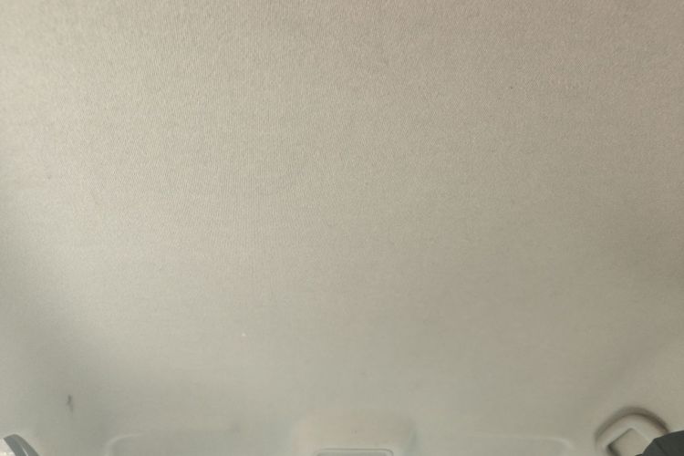 Used BYD e2 2023 Comfort Model Headliner
