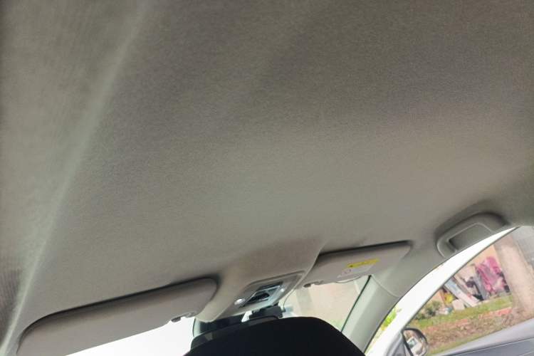 Used BYD e2 2023 Comfort Model Headliner