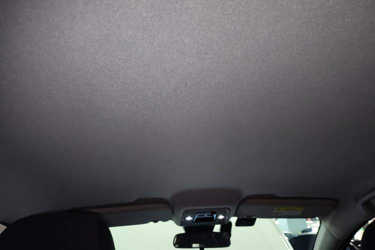 Used BYD e2 2023 Comfort Model Headliner