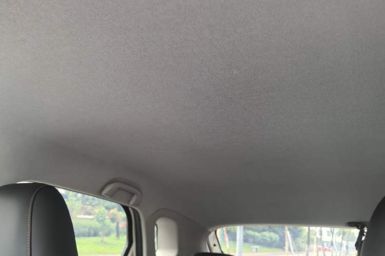 Used BYD e2 2023 Luxury Model Headliner