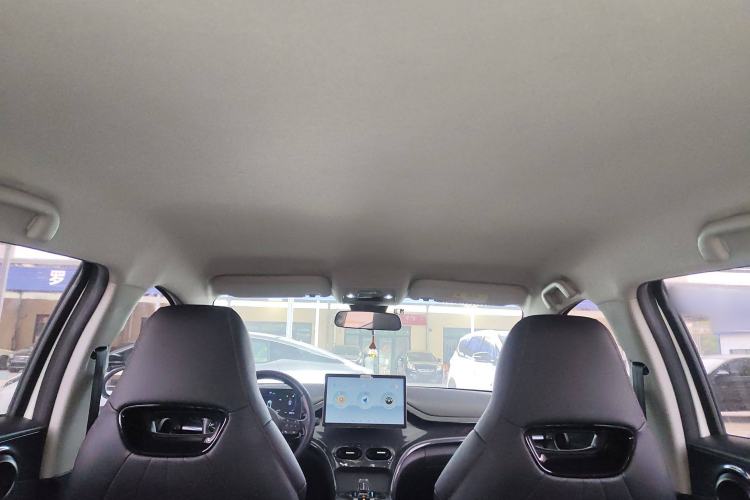Used BYD e2 2023 Luxury Model Headliner