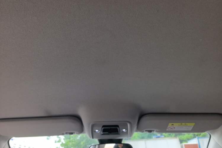 Used BYD e2 2023 Comfort Model Headliner