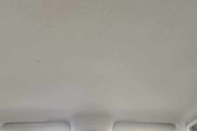 Used BYD e2 2023 Comfort Model Headliner