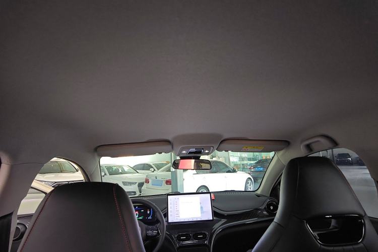 Used BYD e2 2023 Luxury Model Headliner