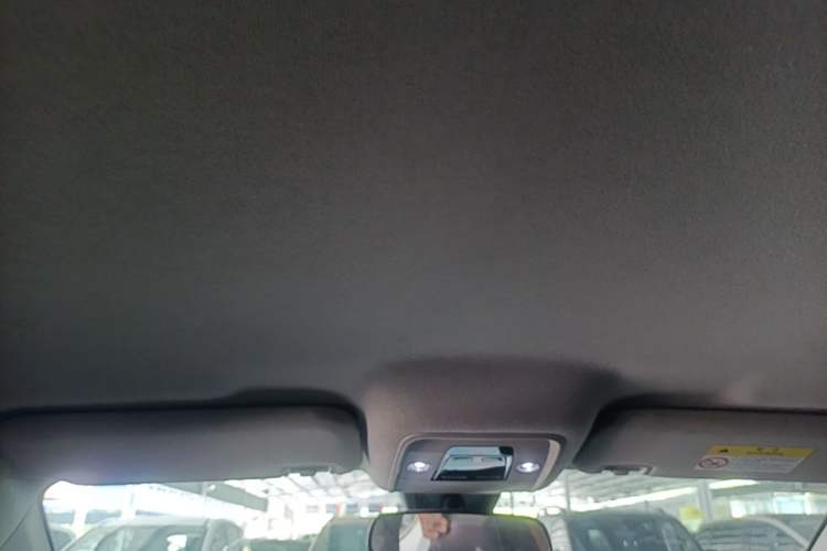 Used BYD e2 2023 Luxury Model Headliner