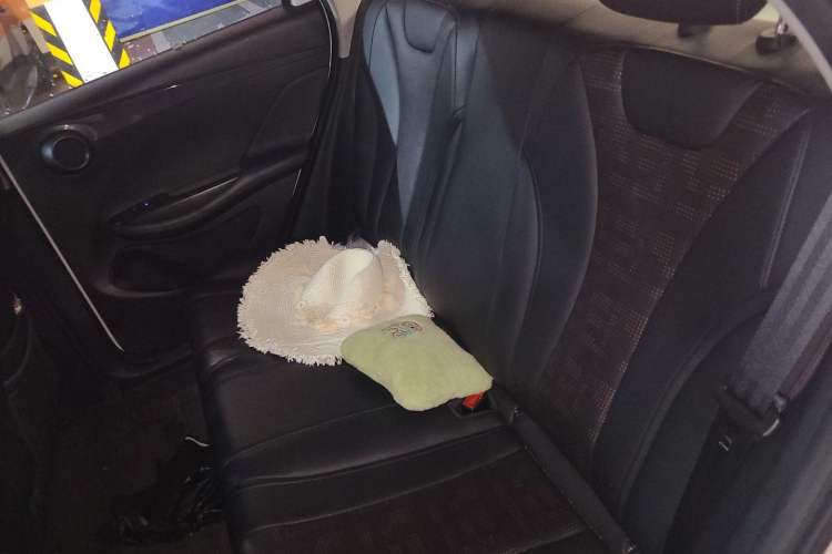 Used BYD e2 2023 Luxury Model Left Rear Seat