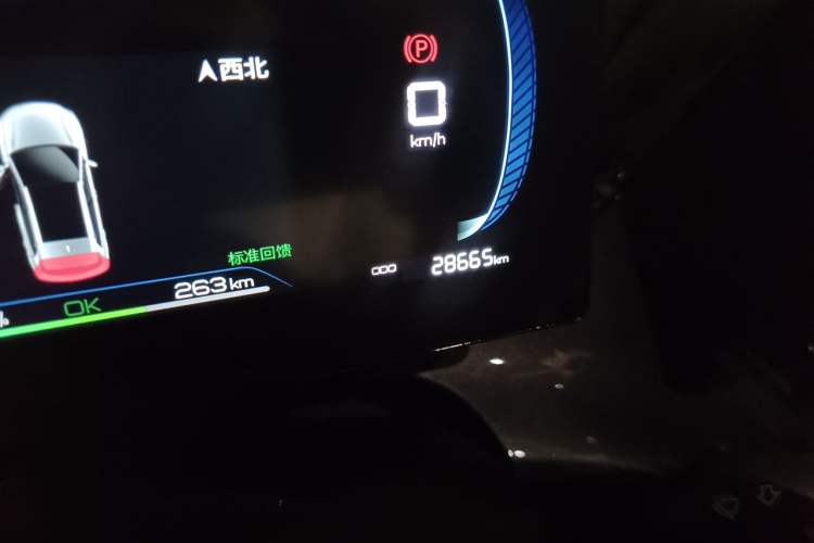 Used BYD e2 2023 Luxury Model Odometer Close Up